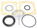 111-598-051A  TF VICTOR REAR AXLE SEAL KIT