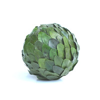 Preserved Laurel Leaf Ball