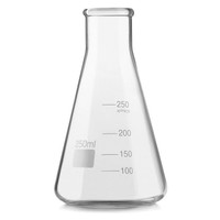 Glass Beaker Conical 250 ml