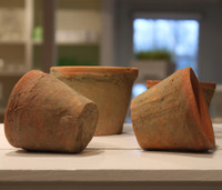 Terracotta Seedling Pots