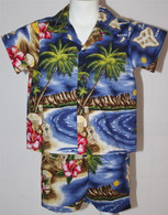 Boys Aloha Shirt & Short Set in Hawaiian Paradise
