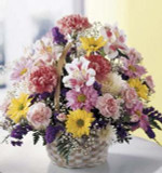 This cheery basket is a welcome sight. Bright and fluffy pink carnations, lavender and yellow daisy pompoms, with white and purple accents are arranged in a handled basket. Its the perfect gift for any occasion.