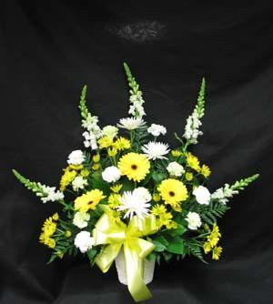 A mix of white and yellow flowers to brighten, a sad time. Gladioli or Snapdragons, sunny yellow Gerbera, Daisies, and Mums. We can deliver all over Toronto and the GTA from our Toronto/North York flower shop.