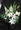 Our Churchill arrangement is a lovely vase of Oriental Lilies in white, Snapdragons, white Escimo roses , white Alstroemeria, mixed foliage.Hatcher original. Styled in a glass vase. Send to the funeral home, or residence