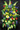 Enlongated spray of bright coloured flowers. A prestigious piece of flowers for family or a close friend