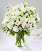 The innocence of a child is reflected in this arrangement of pure white flowers. All white carnations, alstroemeria, daisy and button poms and lilies are lovingly designed in a clear glass vase.