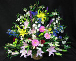 A large basket style sympathy arrangement. Lovely fresh Acapulco lilies, Roses, Gerbera, Alstroemeria, Mums, and filler flowers. We deliver flowers from our flower shop.