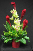 This is a contemporary twist to a floral arrangement. Ginger and a cymbidium orchid add a tropical feel to this beautiful arrangement. Show your sympathy and respect in a modern way. This is suitable for the home, funeral parlor or office.