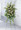 This standing spray is graced with two dozen green carnations. White waxflower, Bells of Ireland, and baby breath add to its tonal beauty. Delivered by Hatcher Florist for the funeral home or service