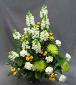A pewter-coloured vase holds this yellow and white combination. Colours may be changed to suit your requirements. White Snapdragons, green Rivert Chrysanthemums, white Carnations, and sunny yellow Statesman Chrysanthemums make a one-sided arrangement