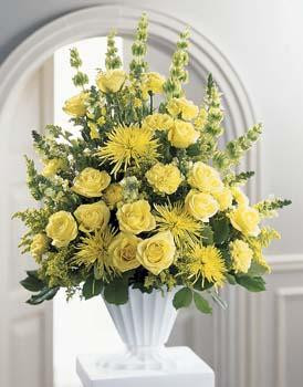 Let this splendid arrangement express your utmost sympathies. Luscious yellow blooms - roses, carnations, snapdragons, and spider chrysanthemums - are beautifully composed and accented by Bells of Ireland. Design is one-sided and is appropriate to send to the funeral home or service.
