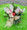 Two dainty orchids nestled in a simple glass rose bowl or cube. Festive bow glass ball and seasonal greenery complete this, " Dainty Double."