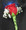 Single red Rose boutonniere and Baby Breath. And a funky white LED light. Shine on! The light lasts 24 hours, a great effect!