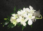 A lovely corsage with white dendrobium and dark green Italian ruscus foliage; gold ribbon. This is a pin on variety. We have a magnet that will save your dress, just ask.