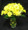A burst of sunshine with yellow dasies and commercial mums! Cheer up anyone with this Sunburst Bouquet! Keepsake vase with handpainted yellow dasies.