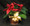 What would Christmas be with out an Ontario grown poinsettia? Bob and Doug Hatcher have made a special effort to get great plants at a stunning price. 5 days only GTA only!!! Limit two per customer. send one today on Nationial Poinsettia day Dec 10th. Price good  Dec 03th.through December 12th 2011.  "Tough people last, tough times don't. "