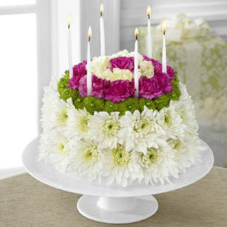 Flowers make the " cake " for you to enjoy! Send this cake and you will be the hit of the party. Just water from the top and sides everyday. Keep in a cool place, away from sun and heat.