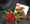 Roses, a plush bear, and chocolates! Happy Anniversary. Chocolates may vary depending upon the freshest shipment. Roses are usually available in red, white, pink, yellow, cream, and orange. Our flower shop has been delivering flowers in Toronto since 1909.