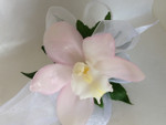 A lovely delicate pink ( we have other colours ) Cymbidium wrist-let made by our florists in our Toronto-North York flower shop. Please give us advance notice to create your stunning wrist-let. Great fro weddings, prom, anniversaries and special birthdays.