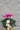 Ontario grown Cyclamen plant in a seasonal basket with branches and a bow. Don't forget the pine cones. Sharples Greenhouse grows these lovel plants for all of Ontario. Let our plant people at Hatcher Florist send one for you for Chritmas or you Holiday Season.