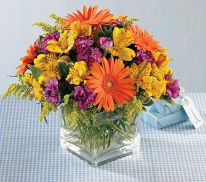 Send greetings for a very Happy Birthday with our gaily colored bouquet. Bright orange Gerbera daisies and purple mini carnations are only slightly subdued by golden alstroemeria and solidago. Arranged in a clear glass cube, each flower delivers a warm and wonderful birthday wish. Let us deliver one today for you.