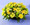 An abundance of flowers in yellows and greens makes a cheerful statement. Yellow daisy and cushion Poms, yellow Alstroemeria and green button Poms are interspersed with green Hypericum berries and white Monte Casino. Pretty as a picture, and ready to decorate an end table or serve as a centerpiece.