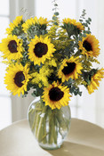 Endless Sunflower Bouquet