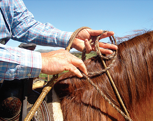Hand-Tied Over-the-Nose Bosal Bridle Leather