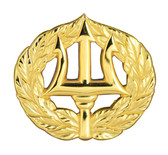 Command Ashore Badge