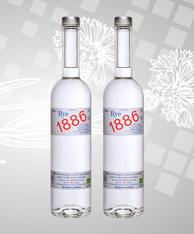 Estonia's Independence Day Special