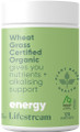 100% Pure Certified Organic Wheat Grass Powder Made From the Leaves of Young Wheat Grass Plants (Triticum Aestivum)