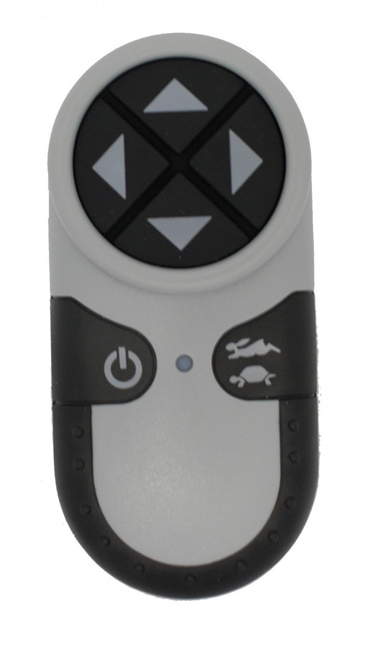 golight remote replacement