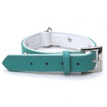 "Brando" Double Leather Dog Collar (Teal)