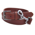 "Zebo" Leather Dog Collar + Leash Set (Brown)