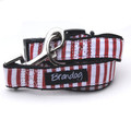 "Captain Pooch" Nautical Stripe Dog Collar + Leash Set (Red)