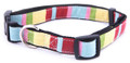 "Captain Pooch" Fantasy Dog Collar (Rainbow)