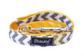 Brandog ''Chevron'' Leash