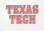 Hand-Painted Needlepoint Canvas - Denise DeRusha - 449 - Texas Tech Shadow Letters