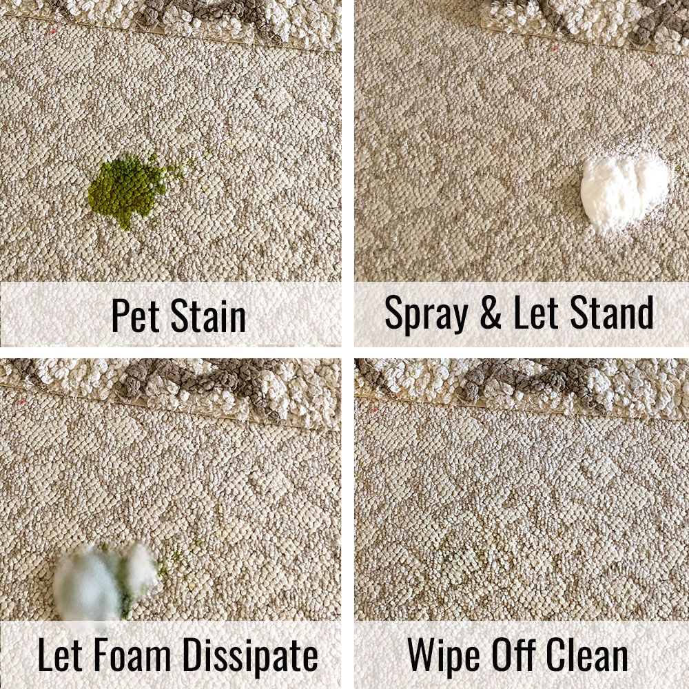 Pet Master Before & After Carpet Stain Cleaning Photos