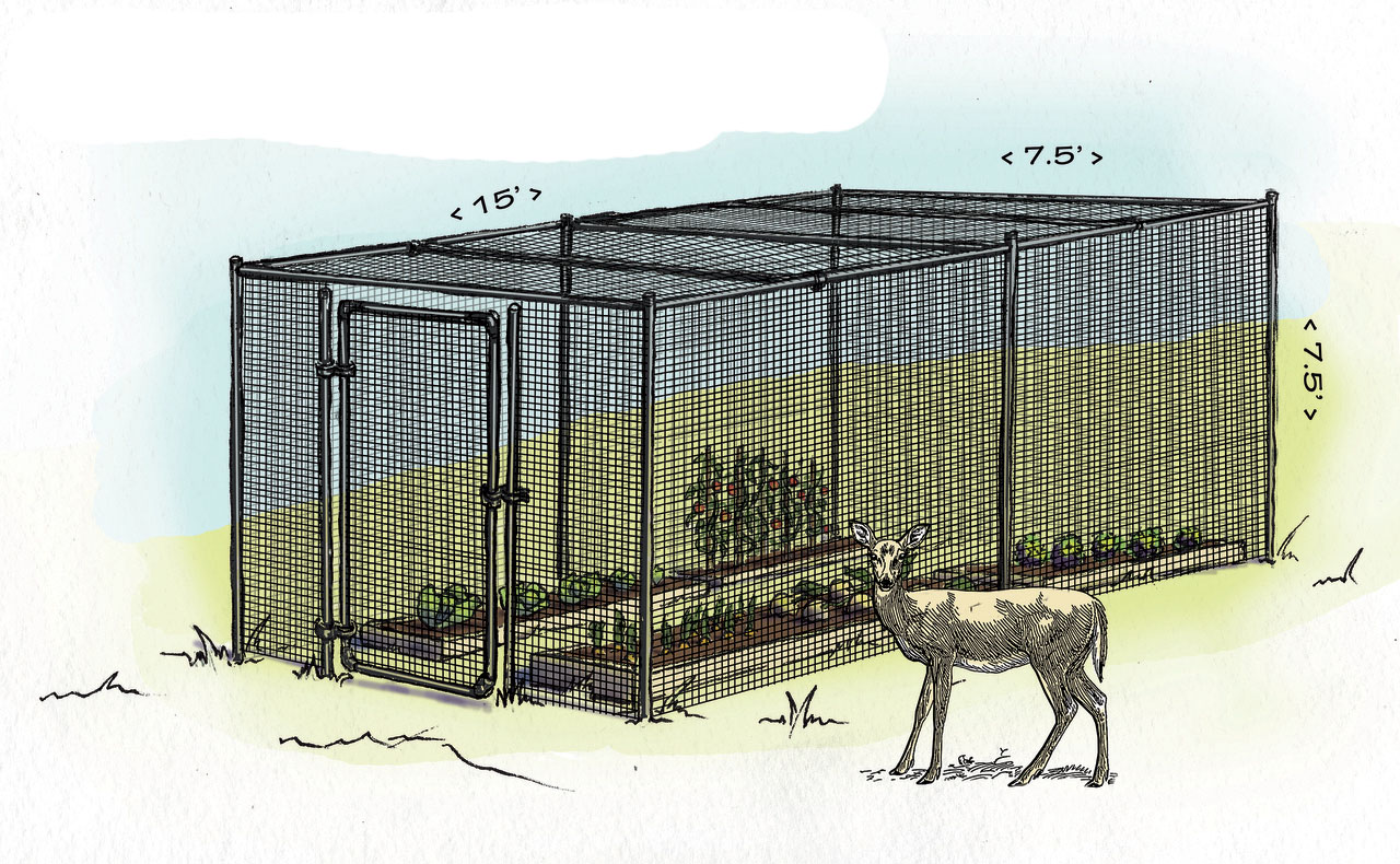 Why Build An Enclosed Fence? - DeerBusters.com
