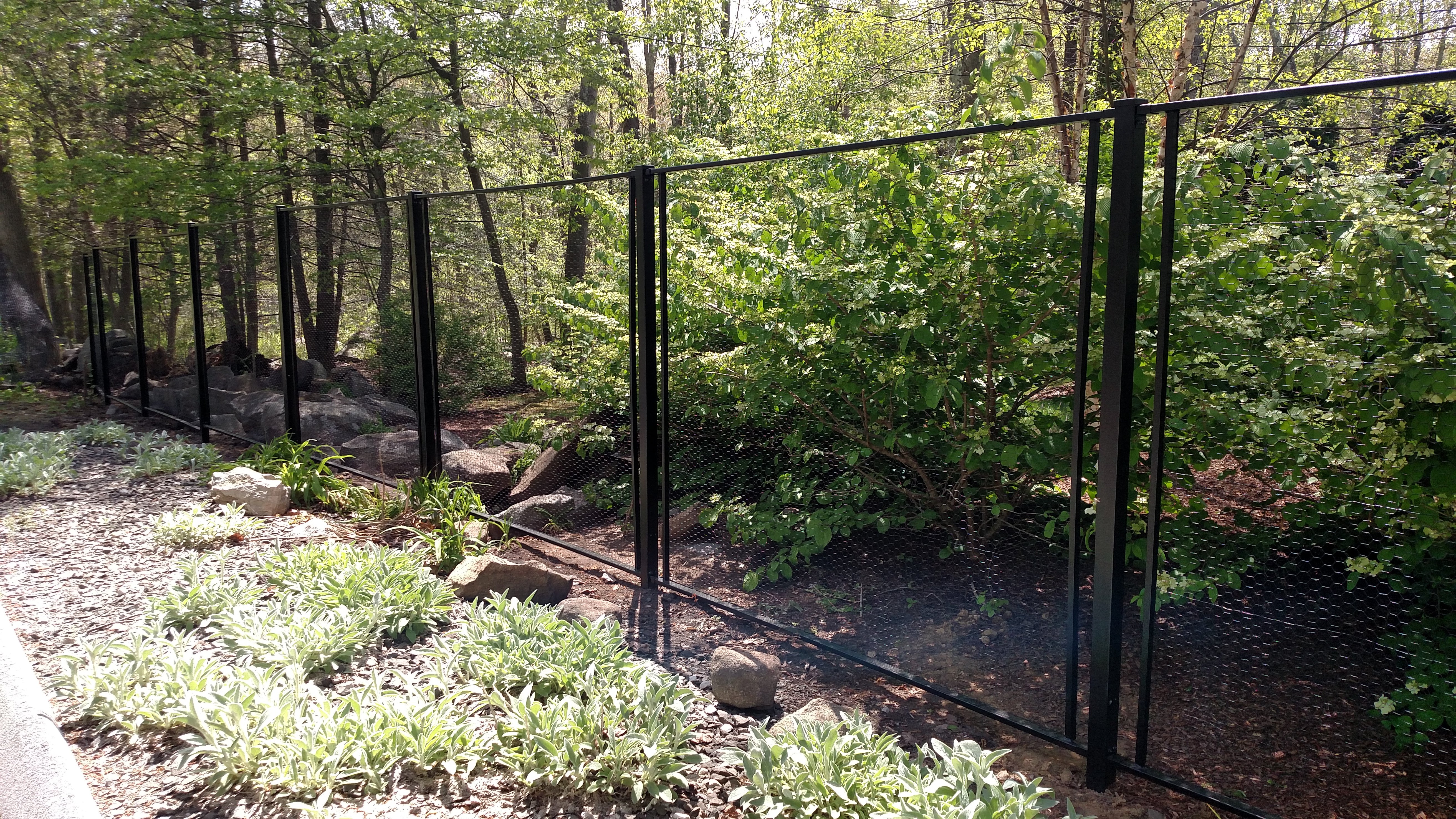 Deer Fence Kit Deer Proof Garden Best Deer Fence Ideas On Garden Fences Garden Deer Proof Garden In 2020 Fenced Vegetable Garden Deer Fence Backyard Vegetable Gardens
