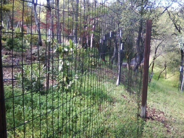 vintage wire fencing