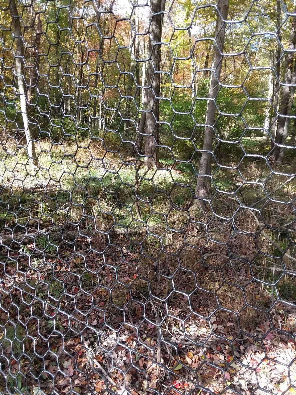 steel deer fence