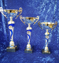 SBH1,2,3 silver handled bowl trophies with blue/silver riser