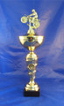 All Gold Motor Cross Award