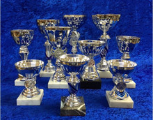 set of 10 sale silver bowl awards