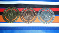 60mm Martial Arts Bronze Silver or Gold Medal on Ribbon