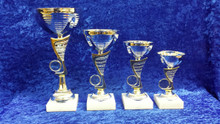 New silver/gold sdl bowl trophy