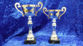Silver metal handled bowl trophies