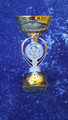 Gold/silver sale bowl award